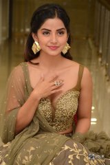 Kashmira at Nartanasala Pre Release Event